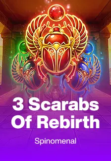 3 Scarabs Of Rebirth